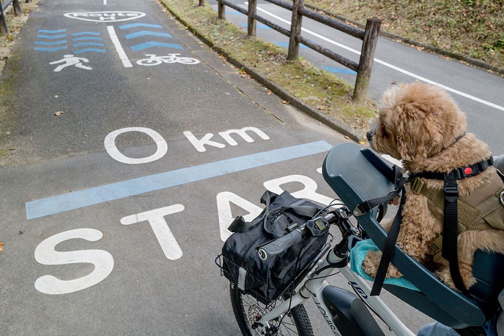 北山ダムのサイクリングコーススタート地点