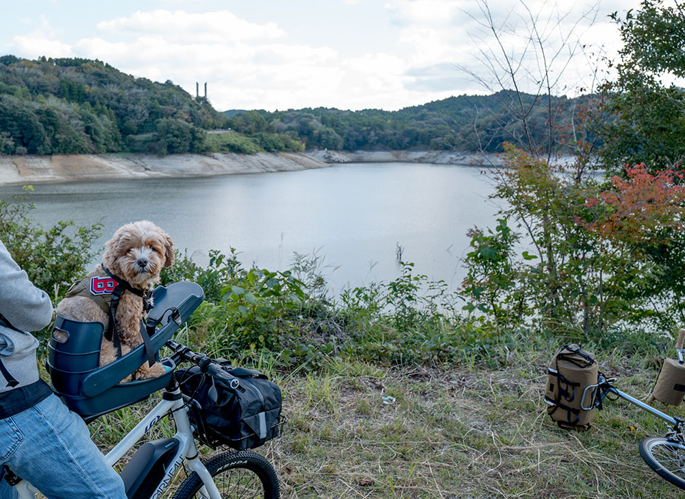 北山ダムサイクリングコース