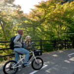 【佐賀県】11月の北山ダムサイクリング日記