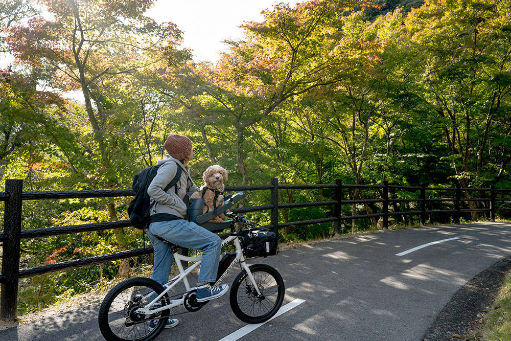 北山ダムのサイクリングコース