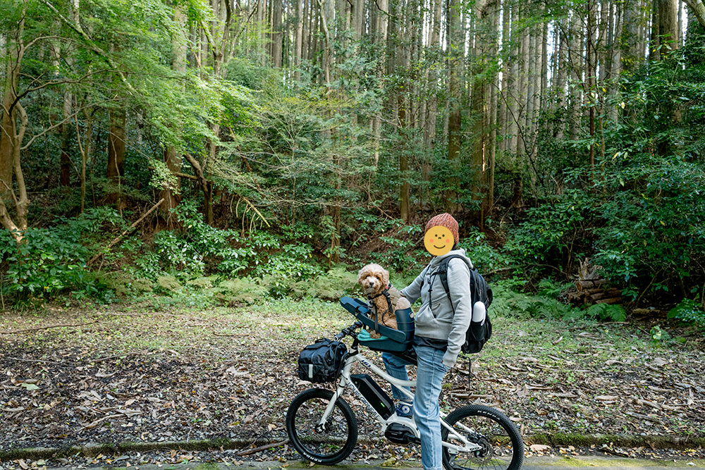 バディーライダーに乗るブラン