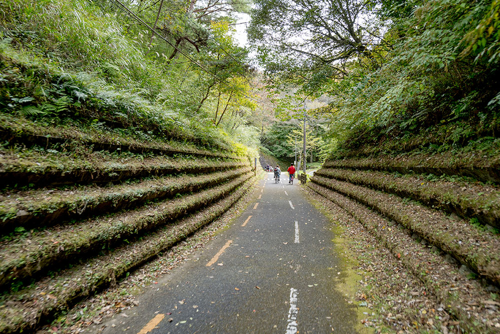 北山ダムサイクリングコース