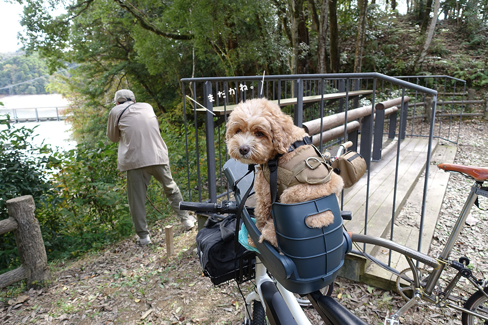 写真撮影を待つブラン
