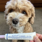 動物用軟膏【アイプクリーム】が優秀！愛犬の皮膚疾患によく効きました。