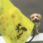 犬用てづくりおやつのお店『犬の一日』（今川店）へ行ってきました。