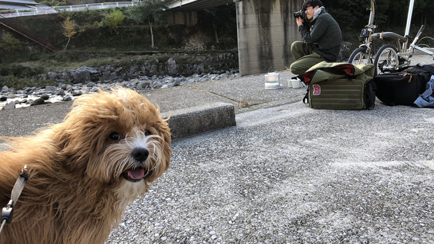 愛犬とお出かけ 大分県 メイプル耶馬サイクリングロード