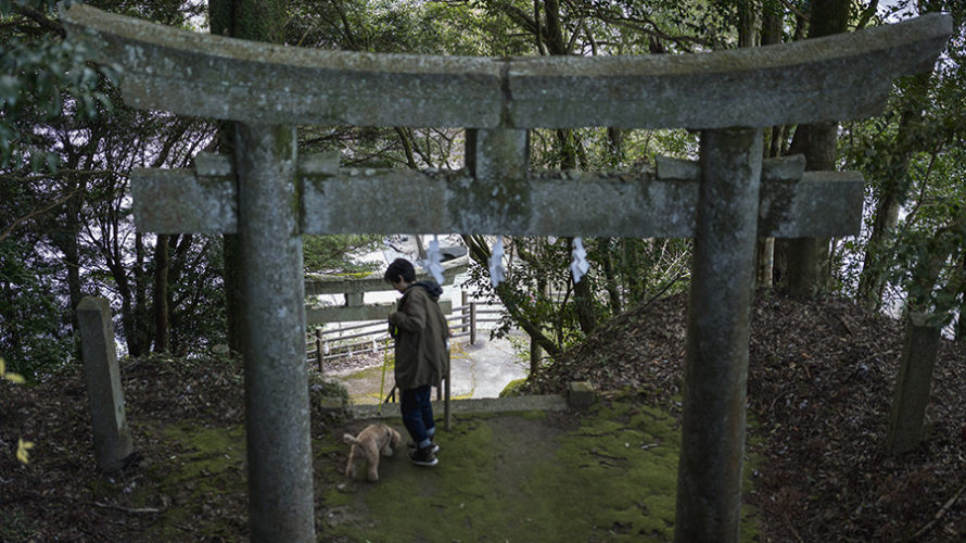 2020年初詣に行ってきました。【福岡市 曲渕城跡 山神社】