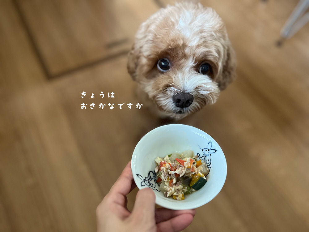 味見待ちのブラン